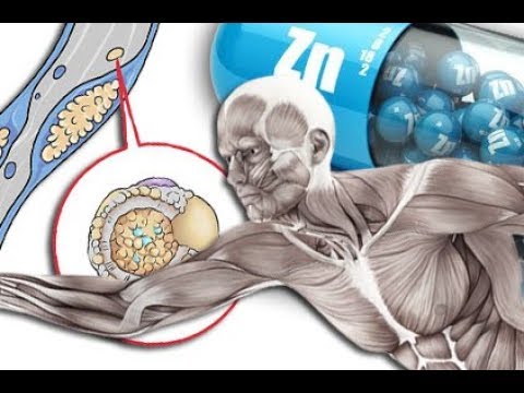 Prostatamassage Video Spielzeug Prostatilen dieses Nahrungsergänzungsmittel oder in der Medizin