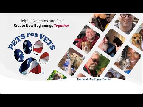 download lagu mp3 mp4 Petsforvets, download lagu Petsforvets gratis, unduh video klip Petsforvets