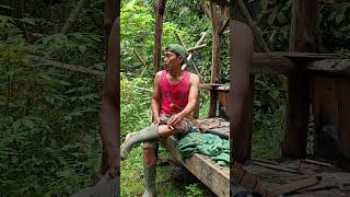 Download lagu Tuturut munding #shorts #shortvideo #shortsviral #comedy #viral #fypシ゚viral #fyp #ngakak #lucu #fy mp3 Download lagu Tuturut munding #shorts #shortvideo #shortsviral #comedy #viral #fypシ゚viral #fyp #ngakak #lucu #fy mp3