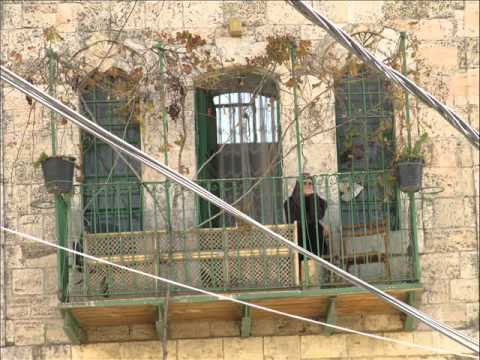 Lara Bello - Trip to Palestine 2010 - 