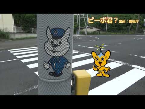 地理学科 【南紀白浜空港利用#1】羽田＞南紀白浜JL219便：人生４度めの和歌山県訪問：和歌山版ピーポ君？白良浜まで徒歩、B&Bサンパルコ（B&B Sampark）さんへ宿泊