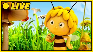 Maja sini Chlii Abenteuer i de Magische Bueh 🐝  Biene Maja | Zeichentrick für Kinder