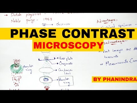 Bright Field Microscopy Principle Working Advantages and disadvantages