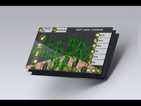 Plants and Flowers Weed Version Promo