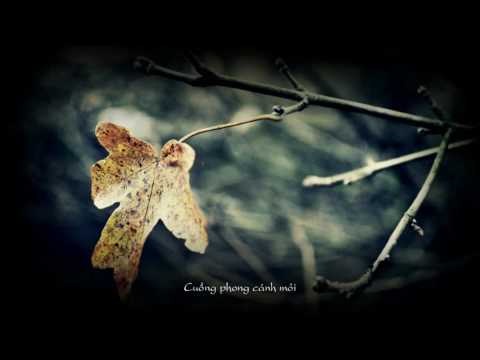 CHIẾC LÁ THU PHAI_TRỊNH CÔNG SƠN [Mỹ Linh & Quang Dũng]