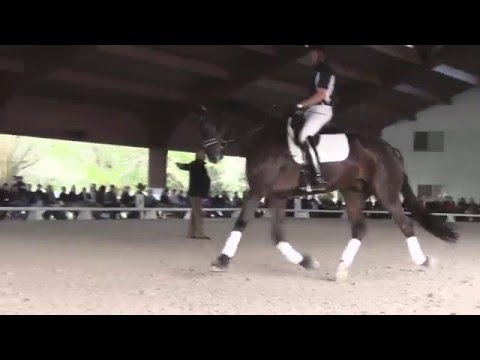 Jo Hinnemann: Trot Canter Transitions -The Most Difficult Exercise