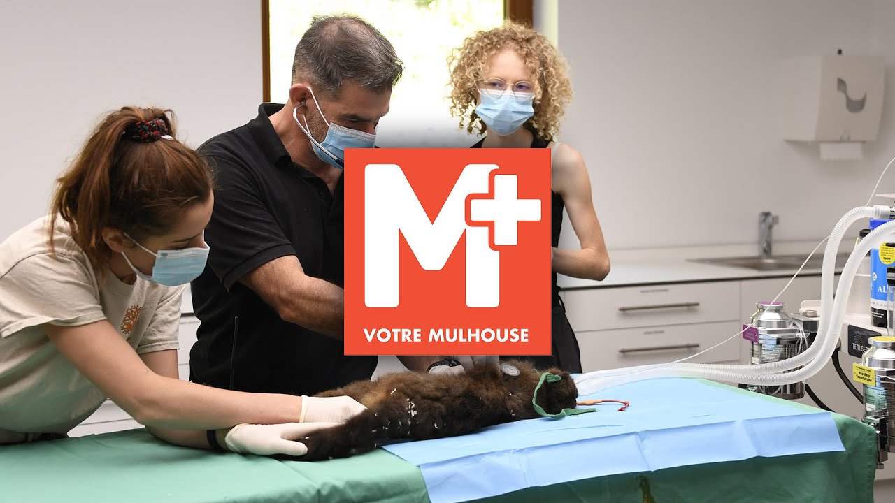 Une nouvelle clinique vétérinaire au Zoo Une nouvelle clinique vétérinaire au Zoo