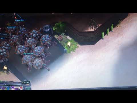 StarCraft: How to Defeat a Locust Attack