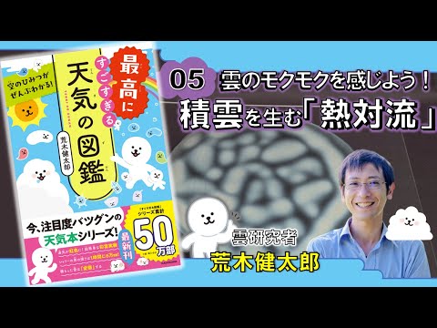 粉積雲について詳しく解説