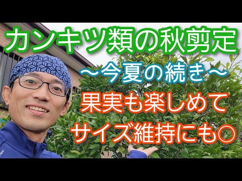 秋に剪定してはいけない果樹はどれですか?またその理由は何ですか? + 剪定してはいけない木のリスト  庭園