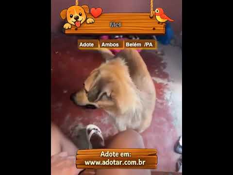 Vídeo de Mel