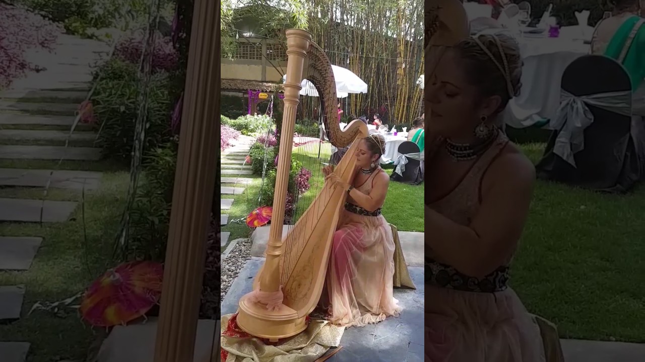 Promotional video thumbnail 6 for Chiara Capobianco harpist for events