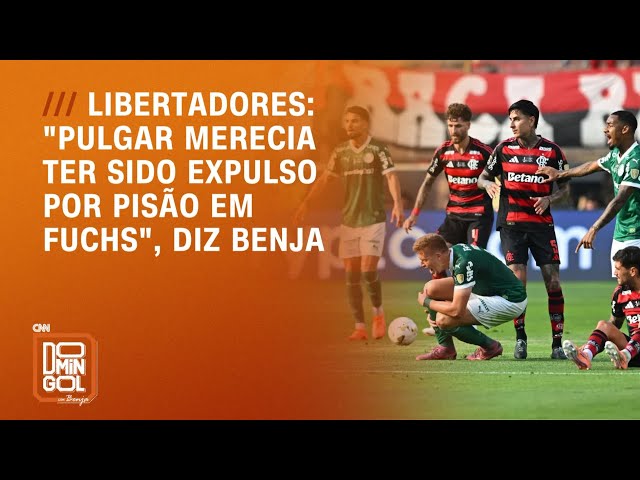 Benja: "Pulgar merecia ter sido expulso por pisão em Fuchs" | DOMINGOL