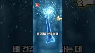 GLP-1 다이어트 근손실 예방 — 위고비·마운자로 중 두부 단백질·칼슘 효과
