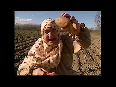 Bruno Blanchet - Sketch Madame Totonski (Wonderbra Patatski) 19 octobre 1998