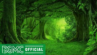 Healing Music with Forest Green Screen - Backgroun