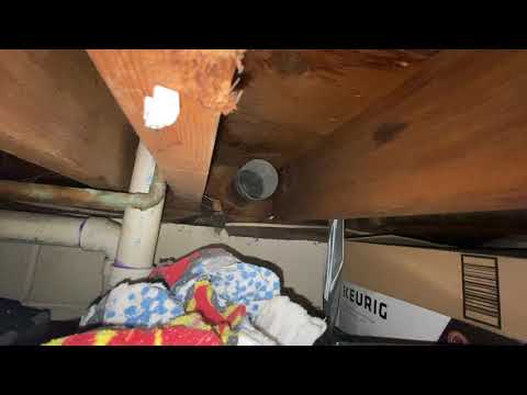 Unused Dryer Vent Causes a Mice Infestation in Toms River, NJ