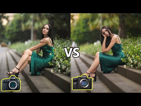 DSLR vs Mirrorless Cameras For Photography (2020)