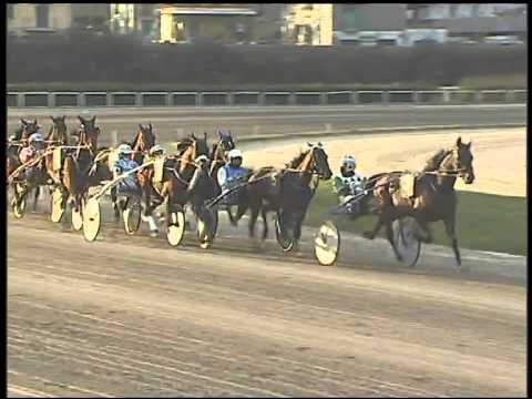 Trotto 01/03/2015 - 6° corsa