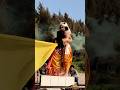 Radha Krishna Love Status Sumedhmudgalkar ️ Radhakrishna Mallikasingh Shorts Youtubeshorts