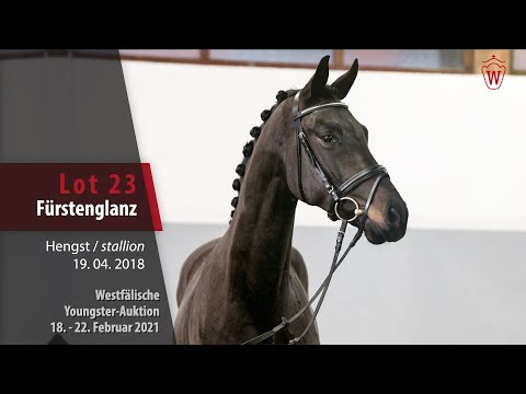 Youngster Auktion 18. - 22. Februar 2021 Lot 23 Fürstenglanz Hengst v. Fürstenball - Sandro Hit