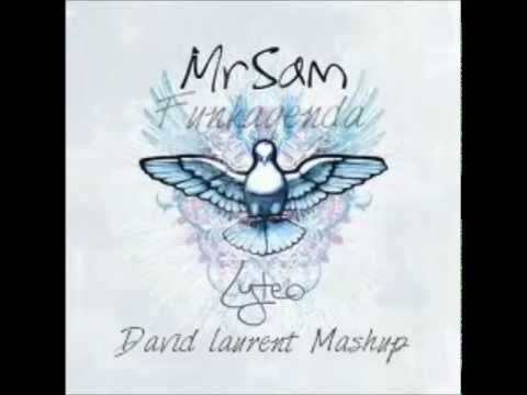 Funkagenda Vs. Mr. Sam Vs. Human Resource - Dominator the fuck ( David Laurent Mashup )
