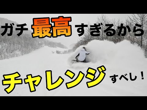 【初心者に優しいスキー場第１位】栂池のパウダーは滑りやすく最高でした！