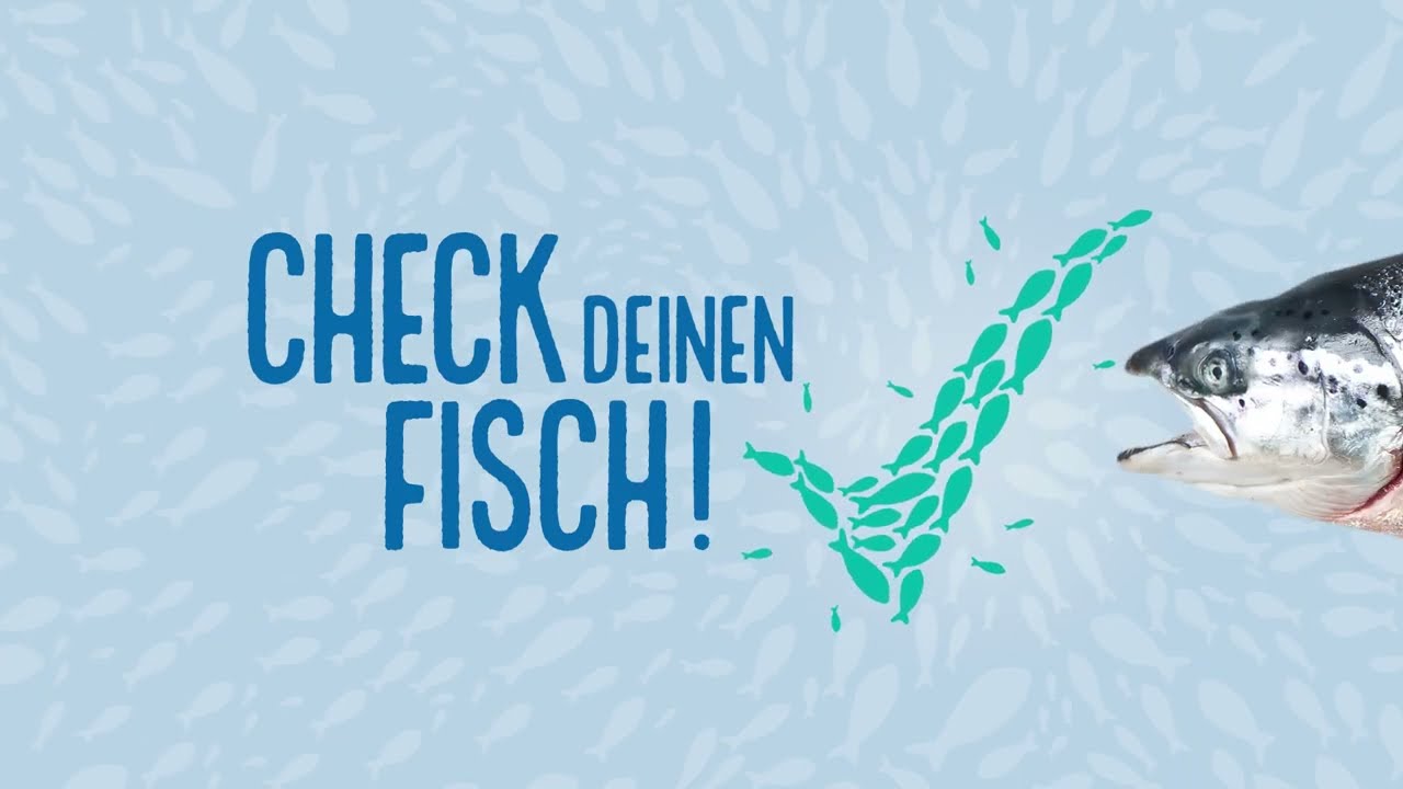 Check deinen Fisch! Schau genau hin - Was steckt hinter den Siegeln von ASC und MSC?