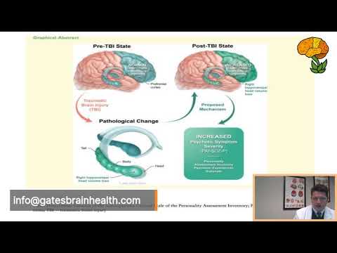 Glutamate Signaling and Depression