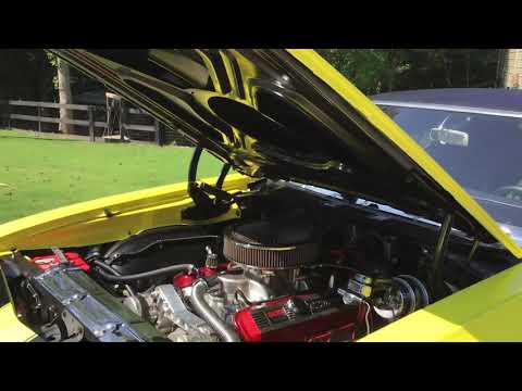 1968 Chevrolet Chevelle SS (CC-1256181) for sale in Canton, Georgia