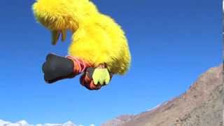 Big Bird Can Fly - 1000 fps