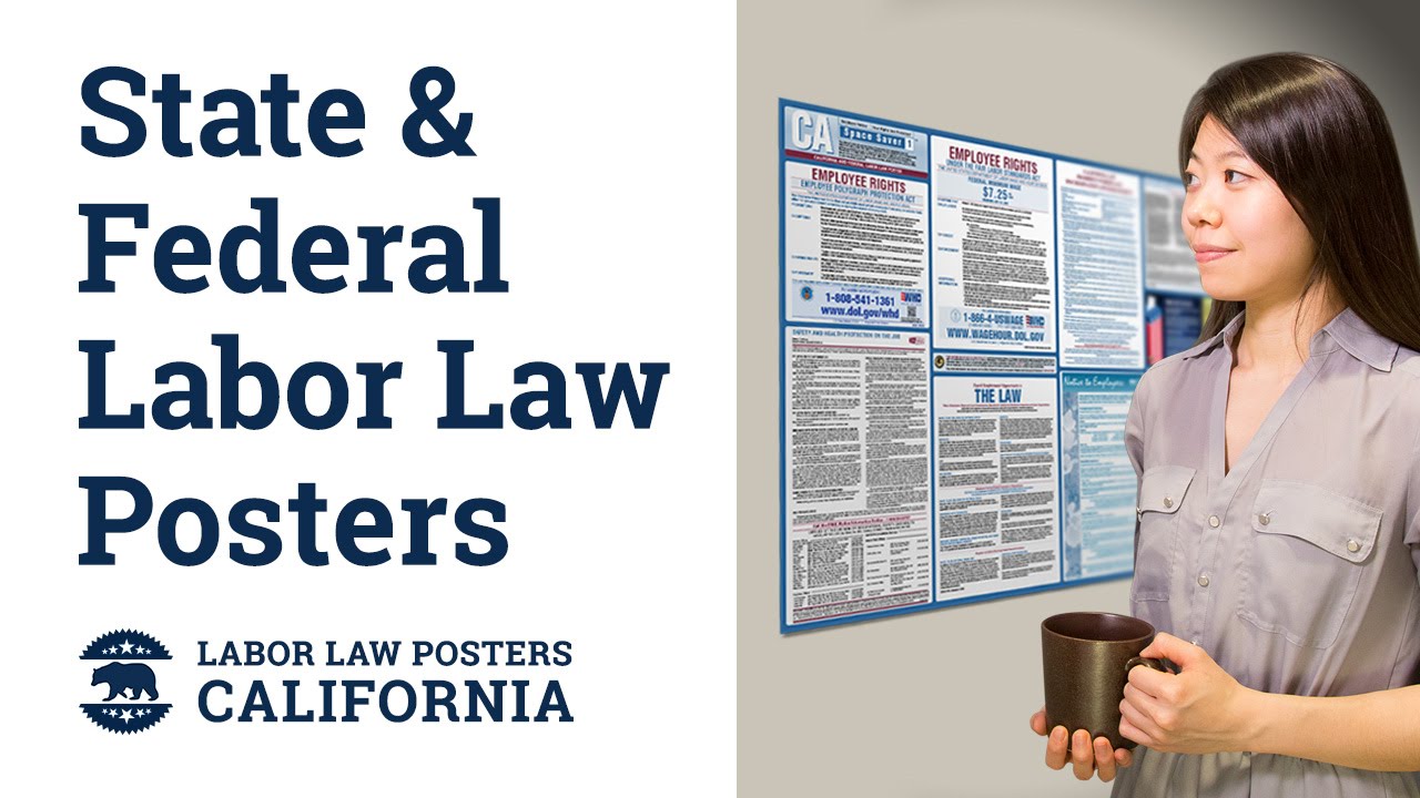 California State and Federal Labor Law Poster Video