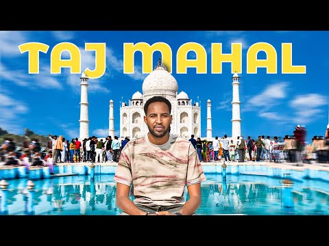 Niyadsame and 3 more