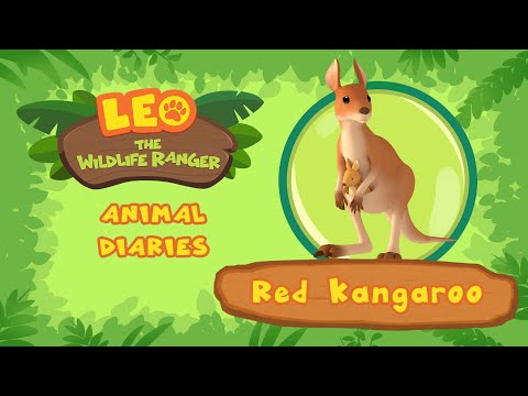 Witness21 Editor  2021 07 17