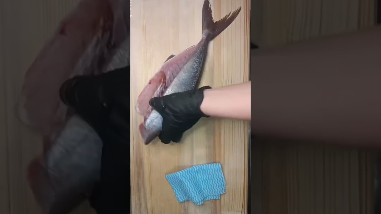 かんぱちのさばき方です！カンパチは身が締まっていて年中美味しいお魚です！寒い時期は脂がのります！他の時期は身が締まってぷりぷり感と旨みが特徴です！澄んだ感じもありとても美味しいお魚です！