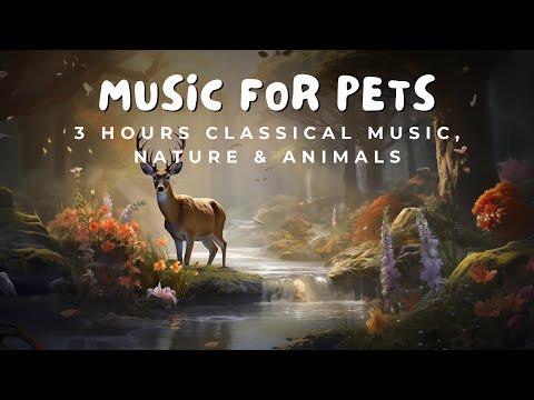 🎻 3 Hours of Classical Music for Pets | 🐾 Tranquil Nature & Animal Relaxation