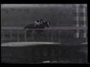 Man o' War - 1920 Kenilworth Park Gold Cup Handicap (and more)