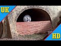 The Sad Story Of Henry Restored UK