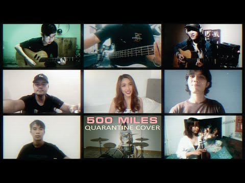 Hedy West - 500 Miles // Mèo Cũ (Quarantine Cover)