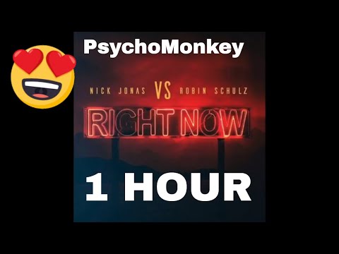 [1 Hour] Nick Jonas, Robin Schulz - Right Now