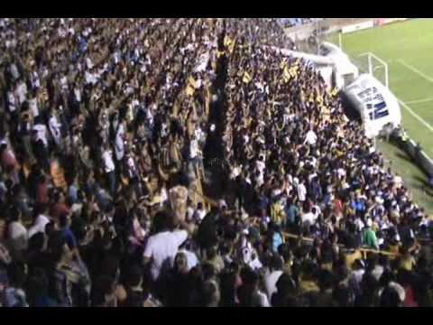 "San Luis vs Gayinas amargas" Barra: La Guerrilla • Club: San Luis