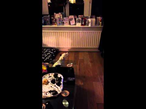 Who's bad? Busters bad!