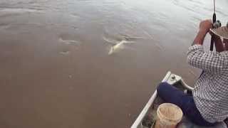 preview picture of video 'Pescaria de barbado no rio grande em Itapagipe'