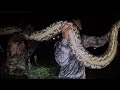 SAWA NA SING LAKI NG POSTE ANG PINAHULI KILA COBRA PRINCE