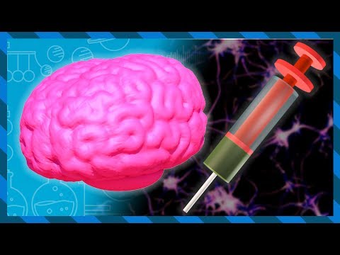 What does Heroin do to your brain and body? | Earth Science