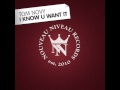 Tom Novy - I Know U Want It (Original Mix)