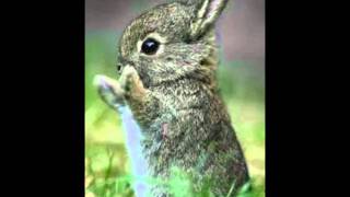 P.S. I Love You |23|