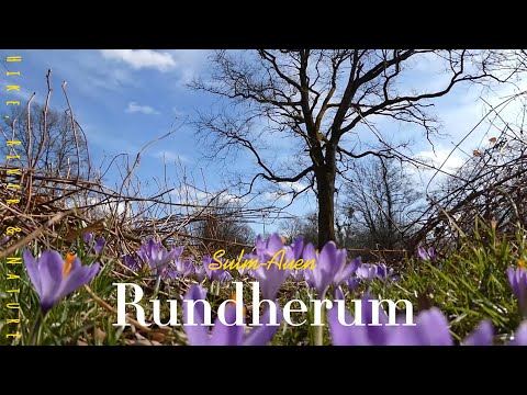 Rundherum Sulm-Auen | Schloss Seggau | Südsteiermark
