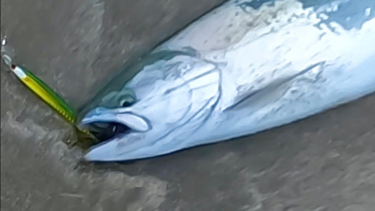 【※注意】大自然の猛威に凍りつく