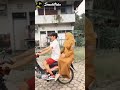 Guru Dan Murid